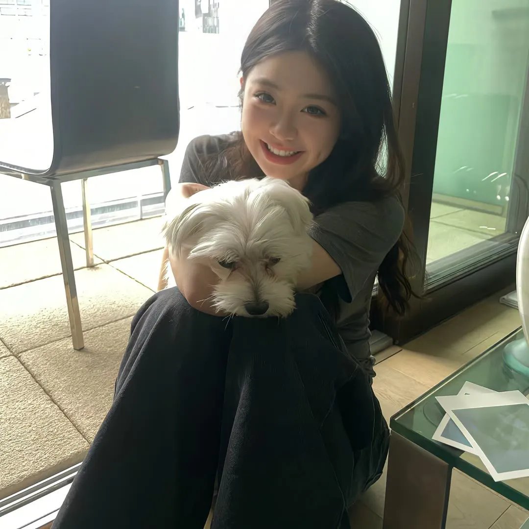 猎鹰计划