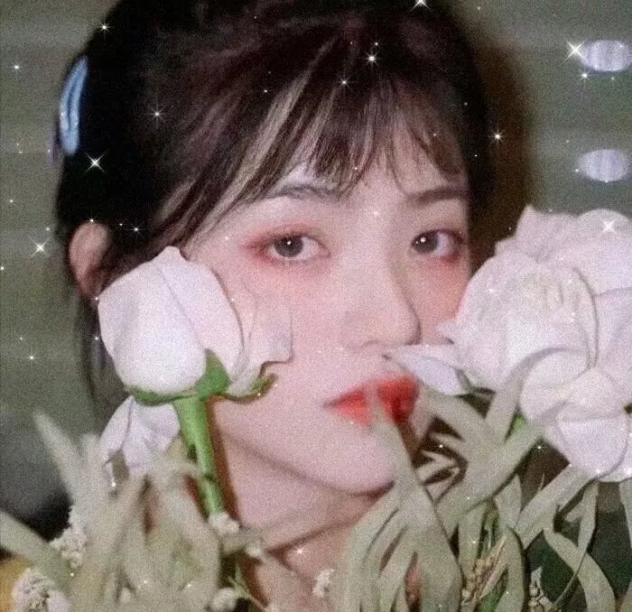 候鸟之爱